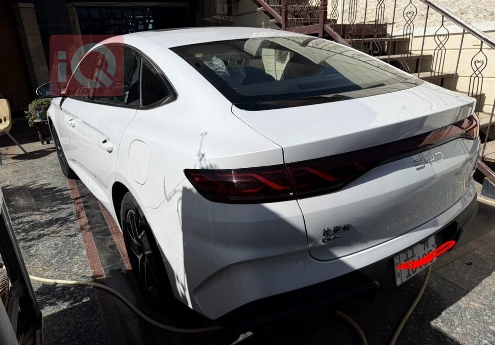 بي واي دي كوين L DM-i